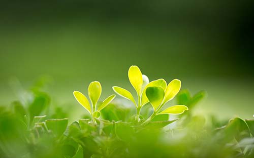 提升本科学历要花多少钱？